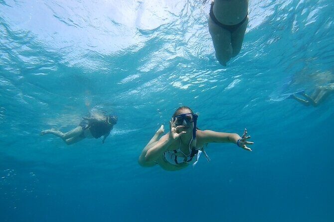 Full-day Dolphin House And Swim With Dolphin - Who Will Love This Tour?
