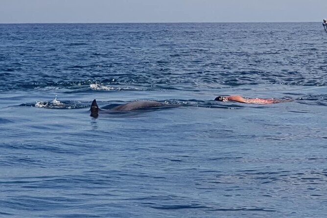 Full-Day Dolphin Watching Cruise in Mauritius - FAQs