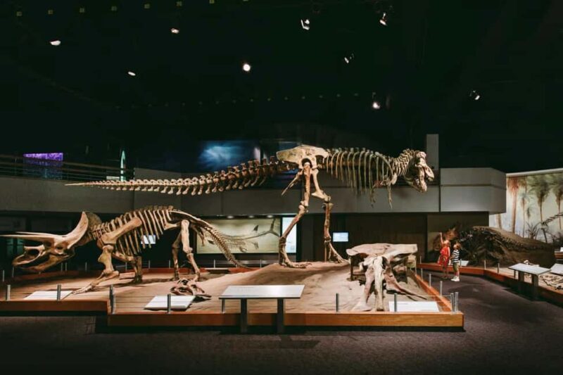 Full Day - Drumheller tour by Coach from Calgary - Key Points