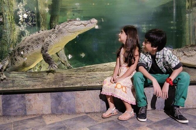 Full Day Dubai City Tour: Burj Khalifa & Underwater Zoo Ticket - Authentic Experiences and Traveler Feedback