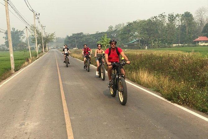 Full-day E-bike adventure Ping River and Nam Phrae (flat-hilly, GUIDED) - Group Size, Timing, and Logistics