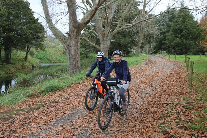 Full Day Ebike Tour in Karangahake Gorge (ex Auckland) - An In-Depth Look at the Tour Experience