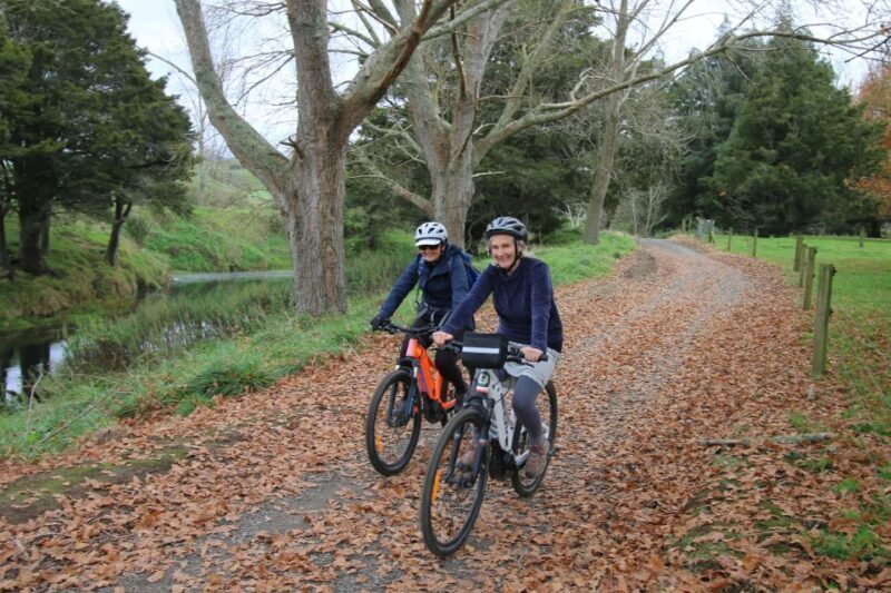Full Day Ebike Tour - Karangahake Gorge NZ - Who Is This Tour Best For?