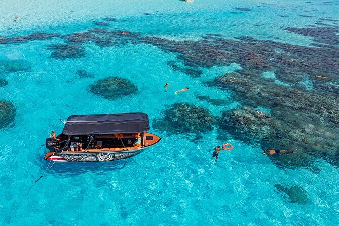 Full Day Eco Snorkeling & Traditional BBQ Lunch on a Motu - The Sum Up: Who Will Love This Tour?