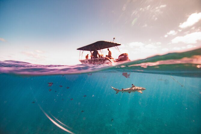 Full Day Eco Snorkeling & Traditional BBQ Lunch on a Motu - Frequently Asked Questions