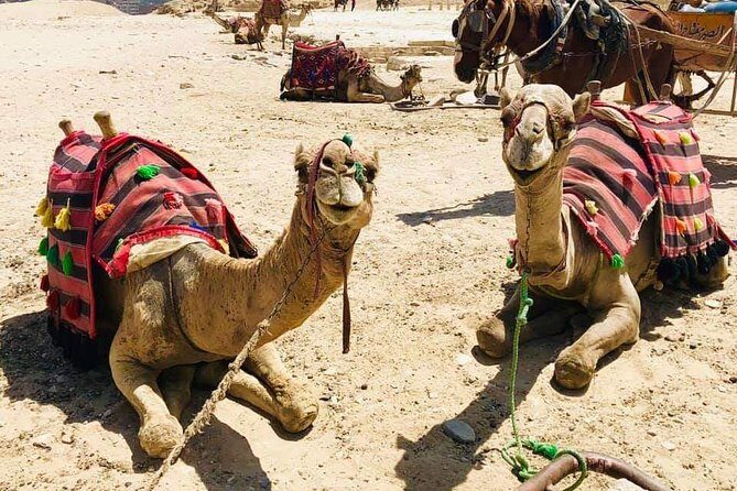 Full-Day Egypt Tour'Pyramids, Saqqara& Traditional Egyptian Lunch - The Sum Up: Is This Tour Worth It?