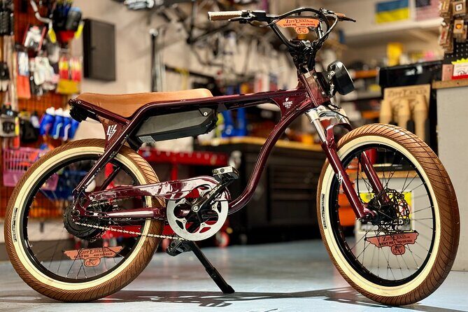 Full Day Electric Bike Rental in Galveston Texas - Why Choose a Full Day Electric Bike Rental in Galveston?