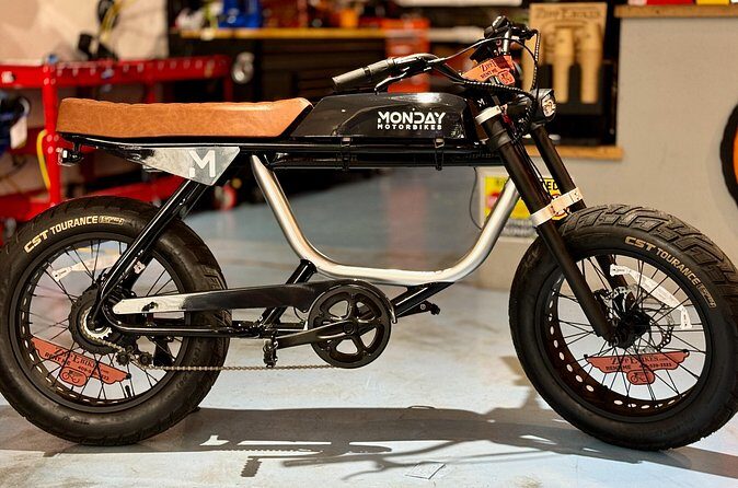 Full Day Electric Bike Rental in Galveston Texas - The Pros and Cons