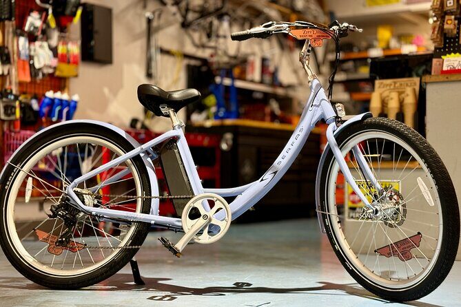 Full Day Electric Bike Rental in Galveston Texas - Who Will Love This Experience?