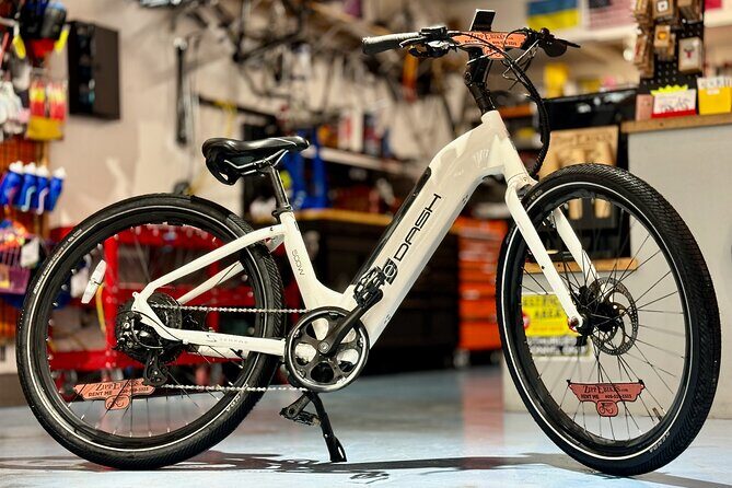 Full Day Electric Bike Rental in Galveston Texas - The Sum Up