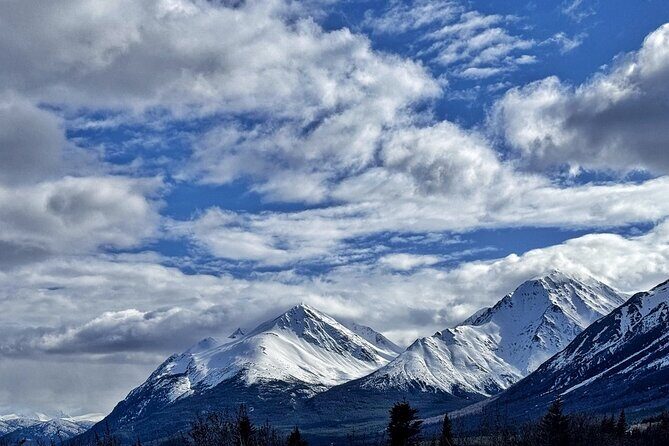 Full Day Emerald Lake Tour with or without Huskies - A Detailed Review of the Full Day Experience