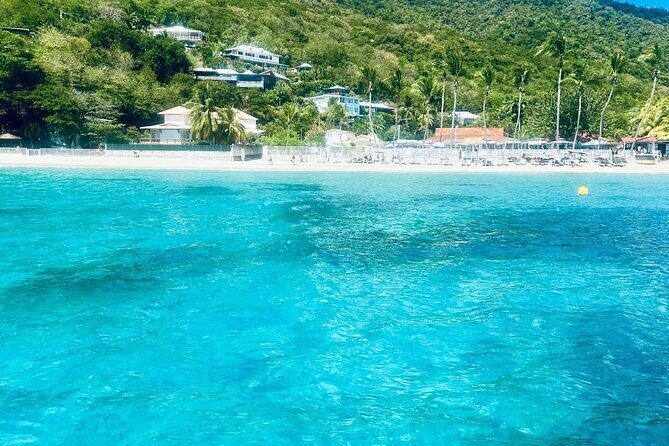 Full day EN Catamaran Martinique Dolphins and Turtles - Who Should Consider This Tour?