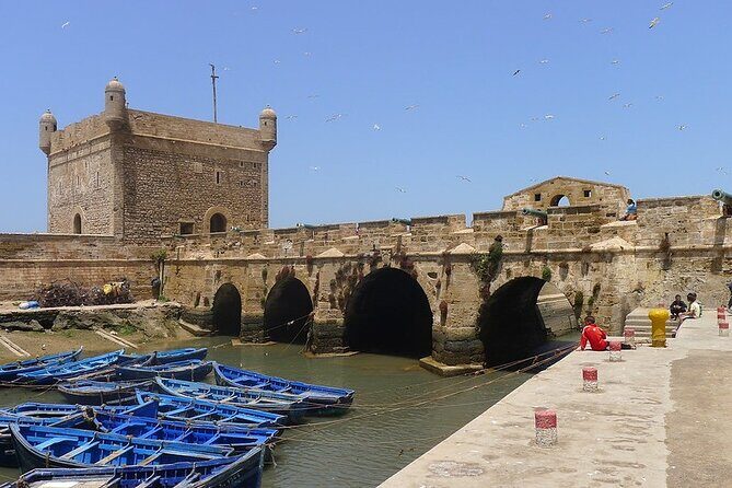 Full Day Essaouira Atlantic Coast City Guided Tour from Marrakech - The Experience from the Reviews