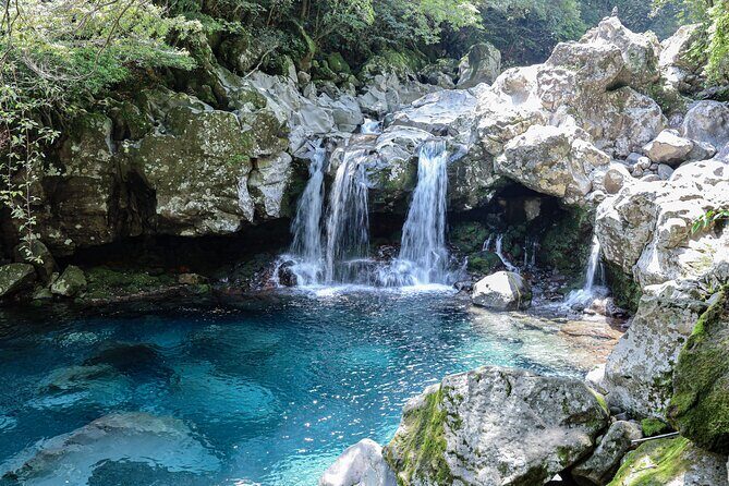 Full Day Essential Jeju Island Private tour for West Course - Who Will Love This Tour?