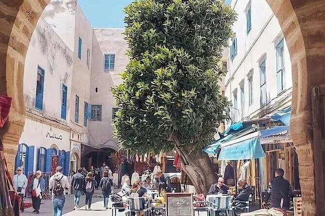 Full Day Excursion from Marrakech to Essouira - Final Thoughts