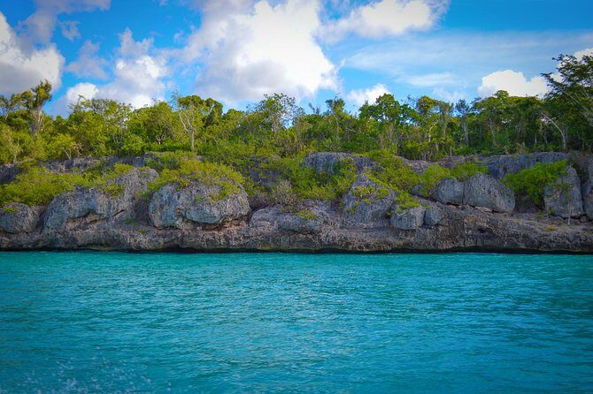 Full-Day Excursion in Saona Island - Pricing and Value