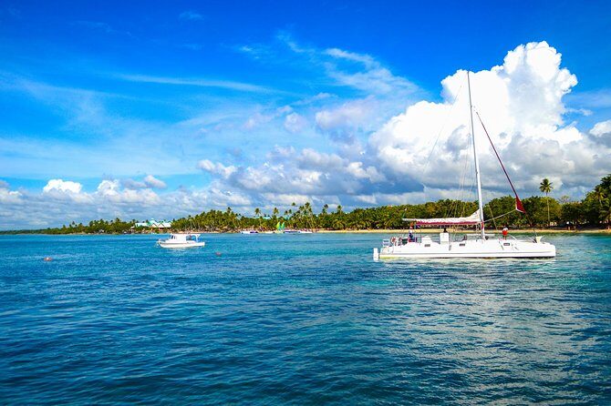 Full-Day Excursion in Saona Island - Potential Drawbacks