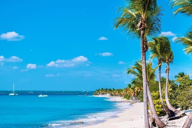 Full Day Excursion to Catalina Island From Bavaro / Punta Cana. - FAQ