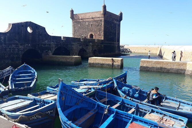 Full-Day Excursion to Essaouira from Marrakech - Key Points