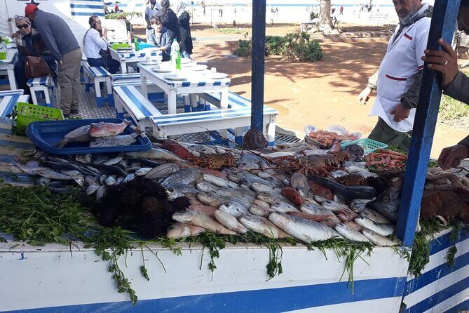 Full-Day Excursion to Essaouira from Marrakech - FAQ