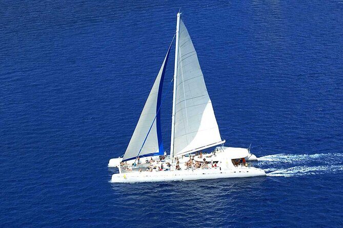 Full Day Excursion to Isla Saona from Punta Cana - An Introduction to the Tour: What You Can Expect