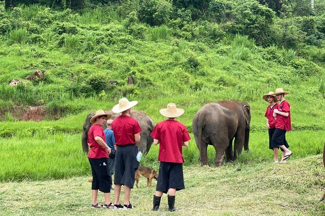 Full Day Experience at Ran-Tong Save & Rescue Elephant Centre - FAQ