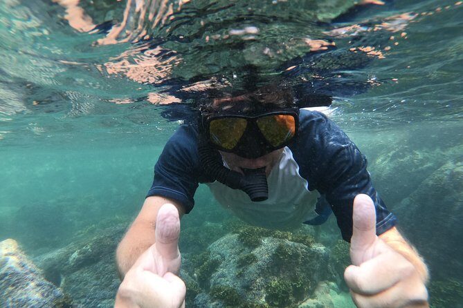 Full-Day Experience in Banderas Bay - The Sum Up