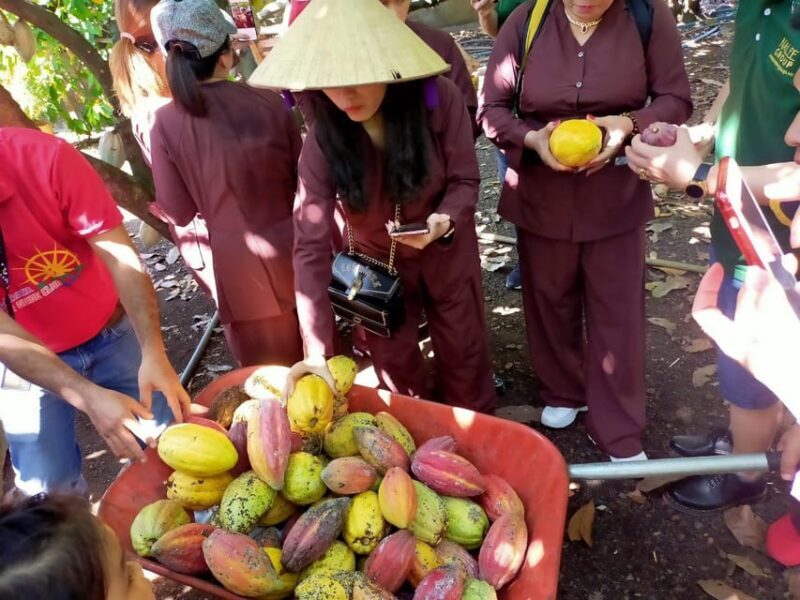 Full Day Experience to Farm and Chocolate - FAQ