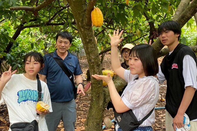 Full Day Experience to Farm and Chocolate - Lunch & Cacao-Inspired Treats