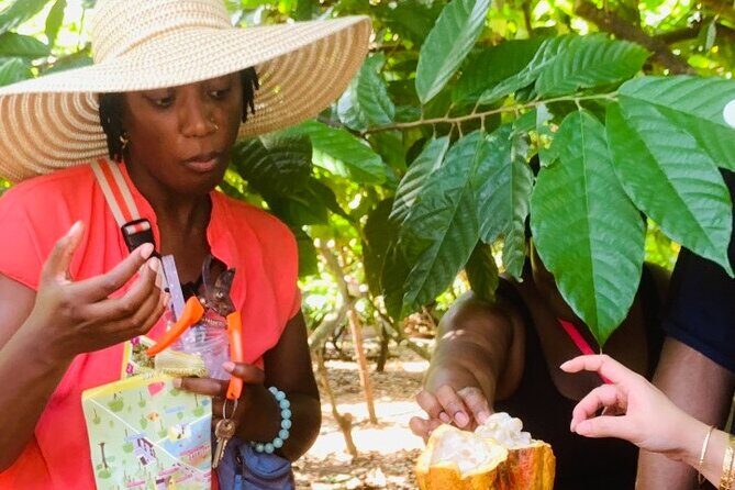 Full Day Experience to Farm and Chocolate - Authenticity & Value