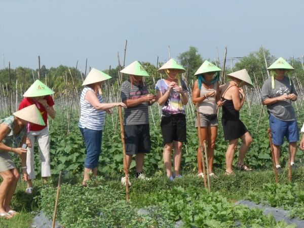 Full-Day Farming & Cooking class at Agricultural Village - An In-Depth Look at the Full-Day Farming & Cooking Class