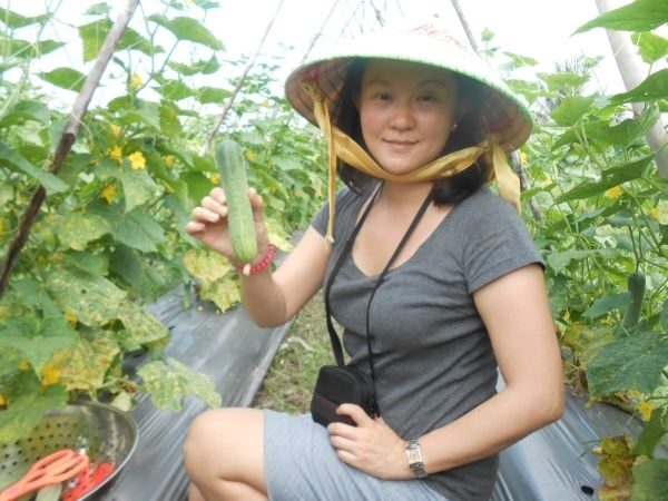 Full-Day Farming & Cooking class at Agricultural Village - Who Should Consider This Tour?