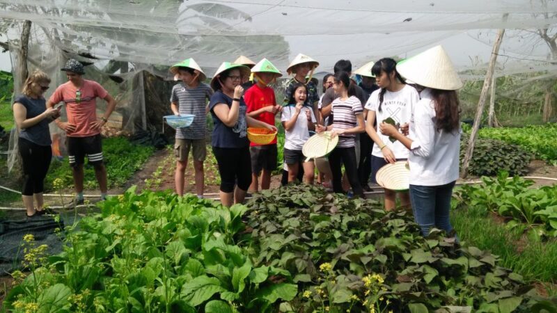Full-Day Farming & Cooking class at Agricultural Village - FAQ