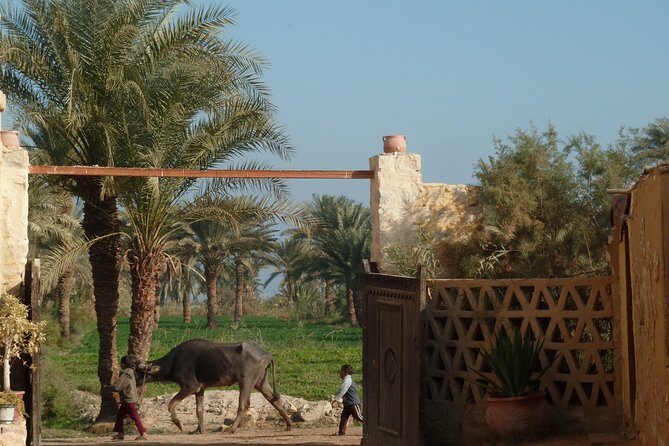 Full-Day Fayoum Oasis and Waterfalls of Wadi El-Rayan Tour from Cairo - The Sum Up: Who Will Appreciate This Tour?