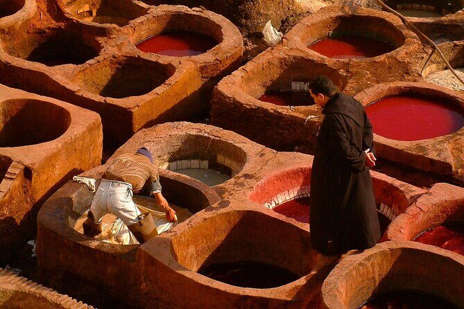 Full day Fez Guided Tour - Who Should Book This Tour?