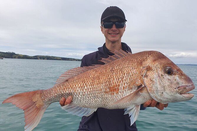 Full Day Fishing Trip on Auckland Waitemata Harbour - Detailed Breakdown of the Itinerary