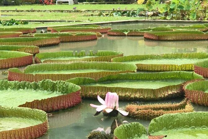 Full Day Flexi Private Tour in Penang Island with Pickup - The Sum Up