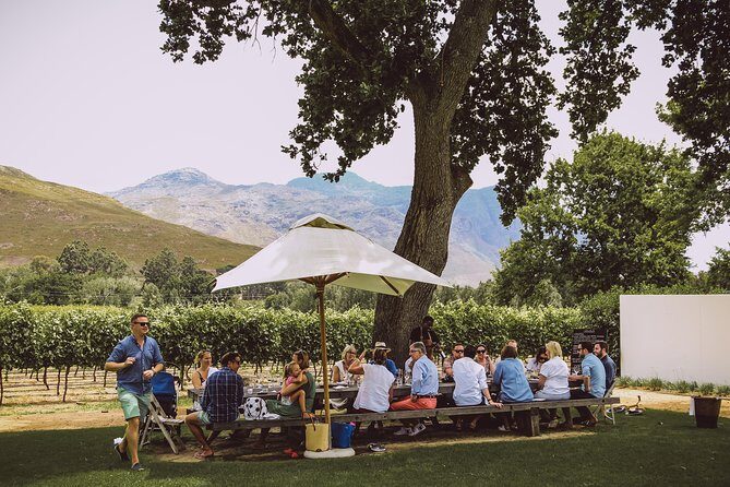 Full-Day Franschhoek Hop On Hop Off Wine Tram Tour from Cape Town - Food, Tastings, and Personal Choices