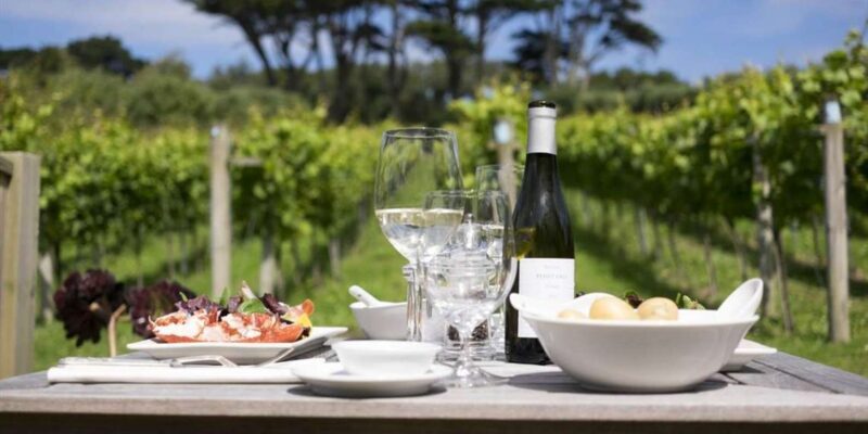 Full-Day Franschhoek tram Wine Tour from Cape Town - Practical Tips for Your Day