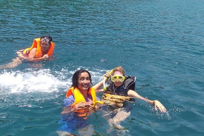 Full Day Fun Diving and Snorkeling By Tiger Fish Divers - Who Is This Tour Best For?