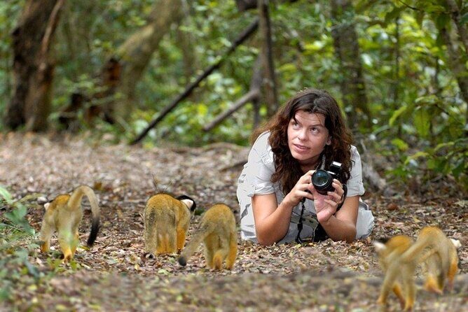 Full-Day Garden Route Safari from Port Elizabeth - The Value of a Guided Experience