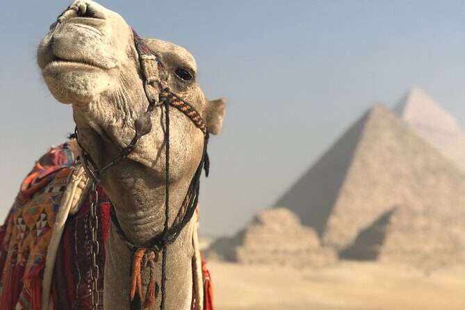 Full Day Giza Pyramids, Memphis City And Sakkara Complex - Who Should Consider This Tour?