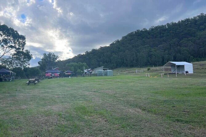 Full Day Gokula Farm and Cessnock with New Castle - Real Traveler Insights and Value