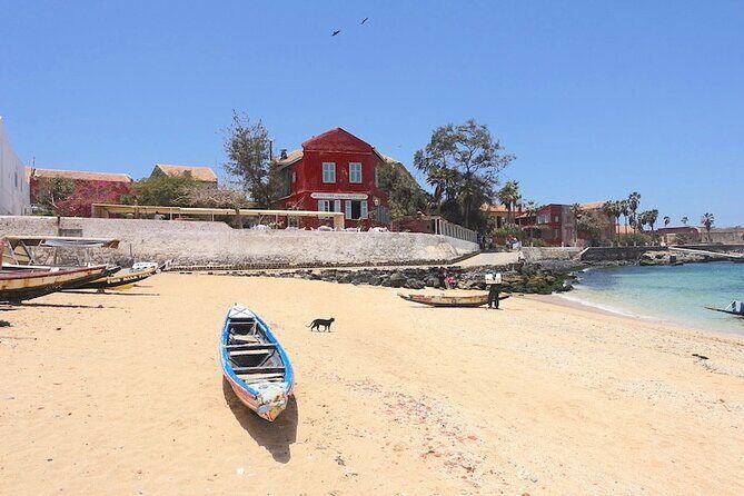 Full Day Goree Island And Dakar City Tour(Minimum 2 Participants) - Who Is This Tour Best For?