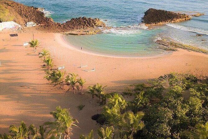 Full-Day Gozalandia Private Tour in Puerto Rico - Key Points