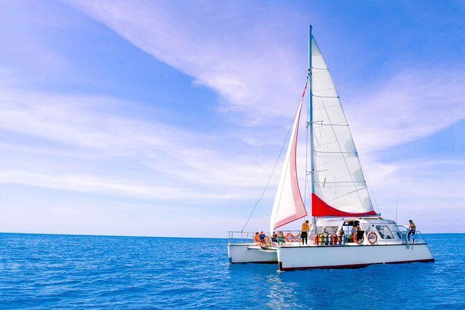Full-Day Great Barrier Reef Sailing Trip from Cairns - Who Will Love This Tour?
