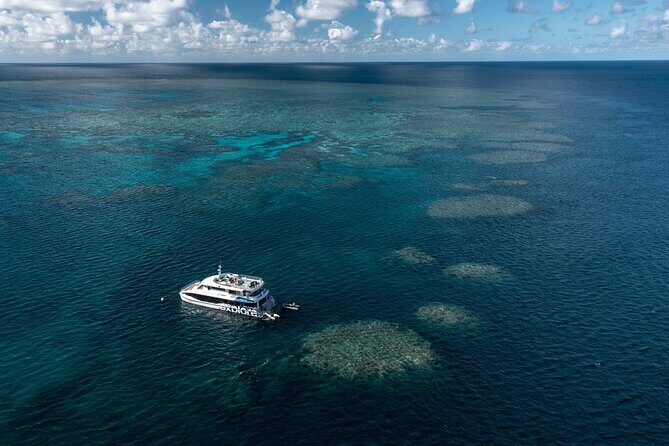Full-Day Great Barrier Reef Snorkeling from Hamilton Island - Key Points