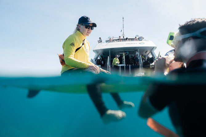 Full-Day Great Barrier Reef Snorkeling from Hamilton Island - Authentic Perspectives: What Travelers Say