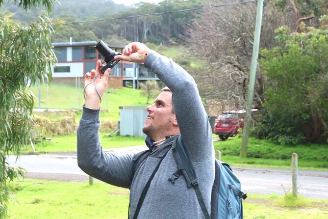 Full-Day Great Ocean Road and 12 Apostles Sunset Tour from Melbourne - The Coastal Towns & Wildlife Encounters