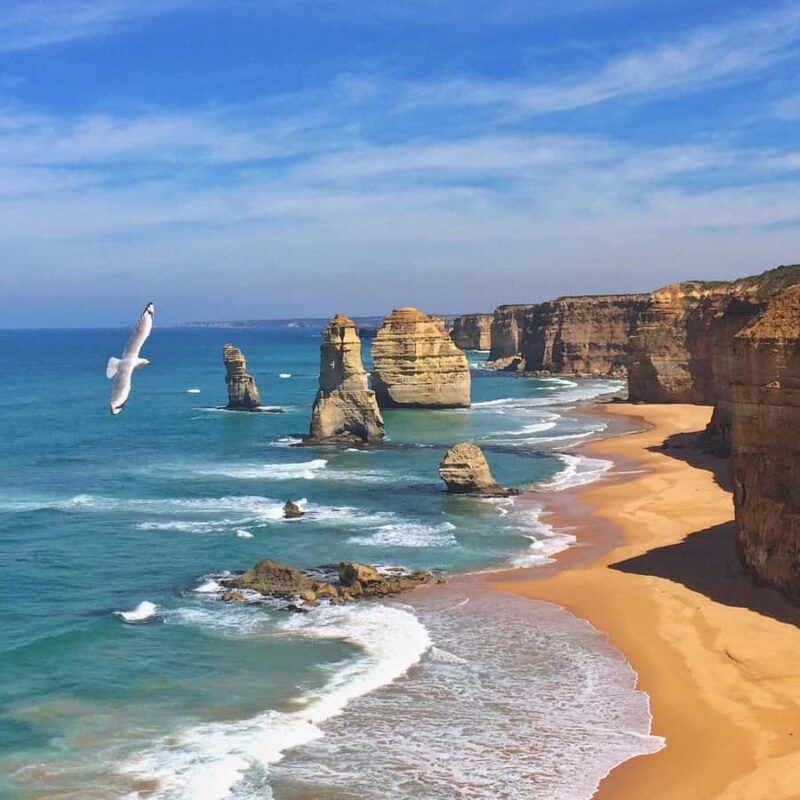Full Day Great Ocean Road Private Guided Tour - Why Choose This Tour? A Practical Overview